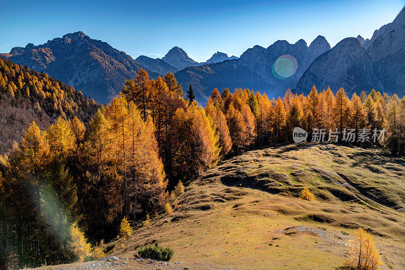 芒格特山的观点与Sella Somdogna，秋天落叶松，朱利安阿尔卑斯，意大利，欧洲